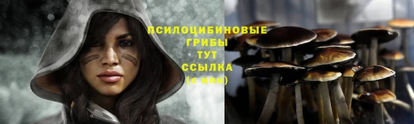 герыч Магадан