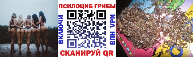 Галлюциногенные грибы Psilocybe Кириллов